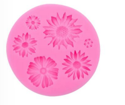 Daisy Mold